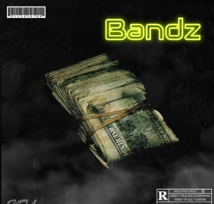 Dynasty Loops Bandz WAV